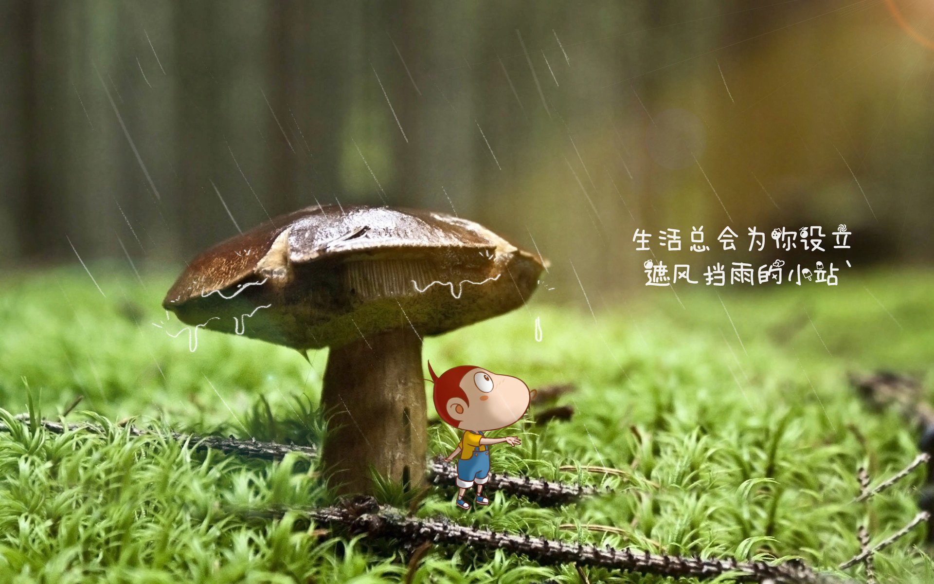 菲律宾选手在亚洲台球锦标赛中夺冠，菲律宾 台球
