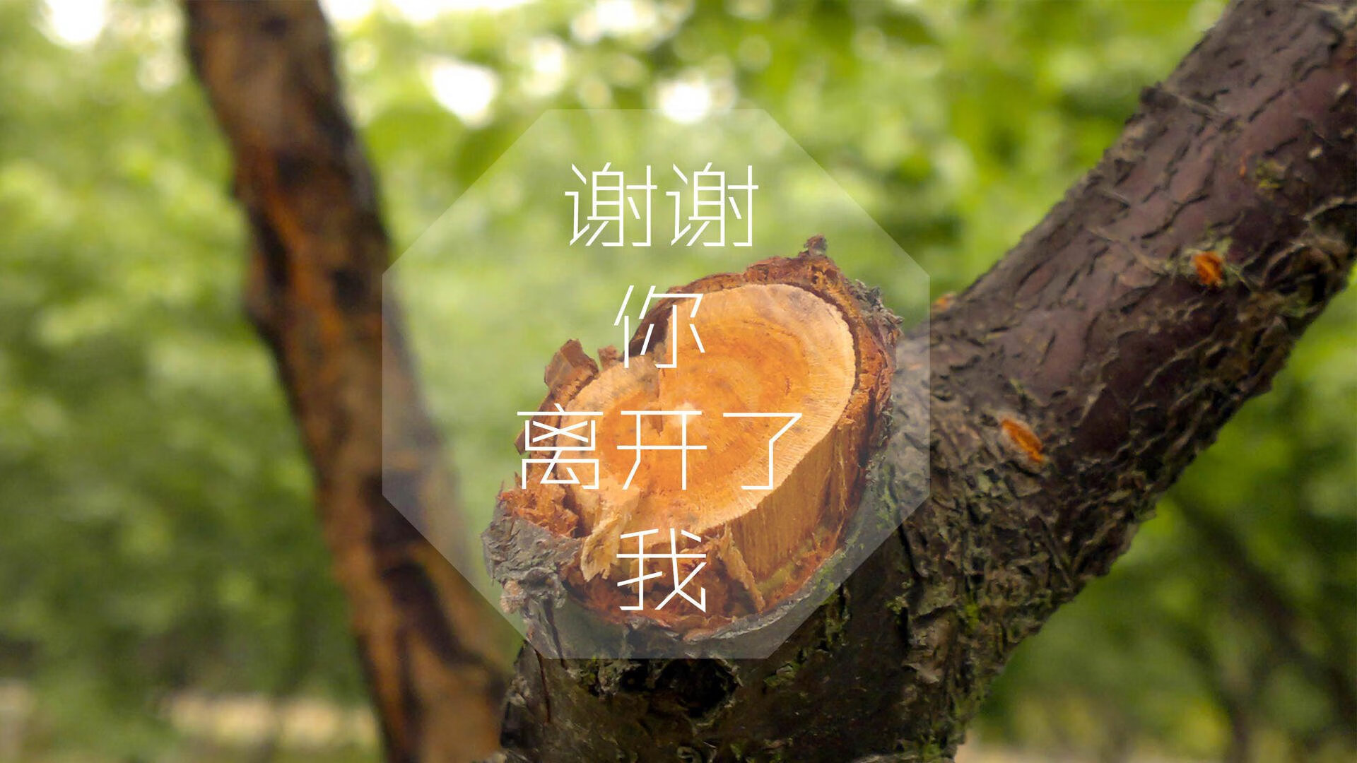 爱游戏品牌互动-意大利足球职业联赛出现经济问题，俱乐部陷入困境，意大利所有足球俱乐部