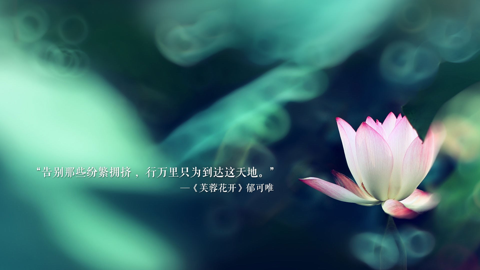 世界青年排球世界杯中国队屡获佳绩，2020年世界排球联赛中国