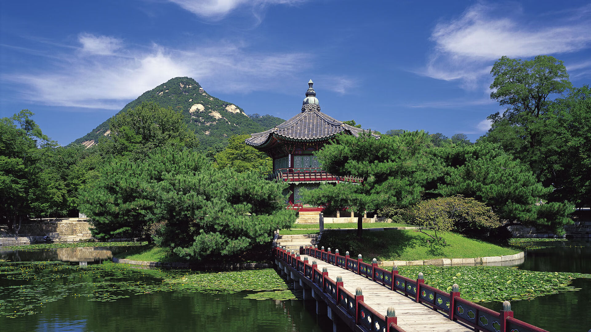 中国篮球教练员战术创新与应用能力提升路径探索，全国篮球教练员岗位培训