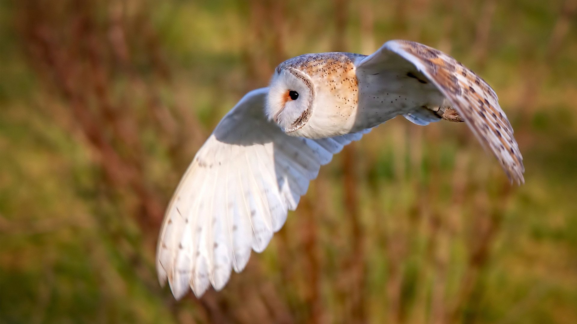 中超比赛对抗强度分布分析,中超对阵规则