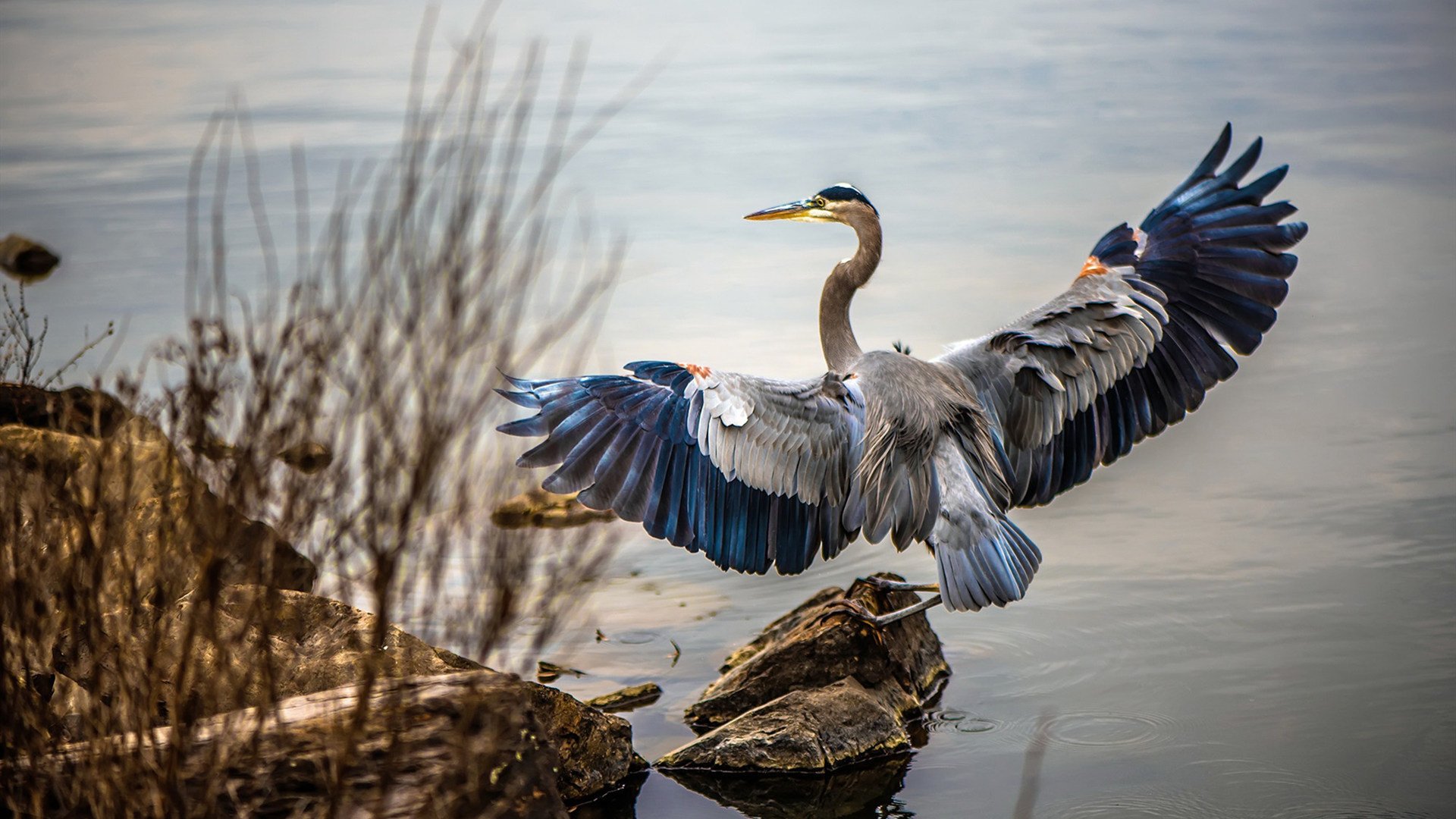 体育赛事数字化转型,数字体育产业发展