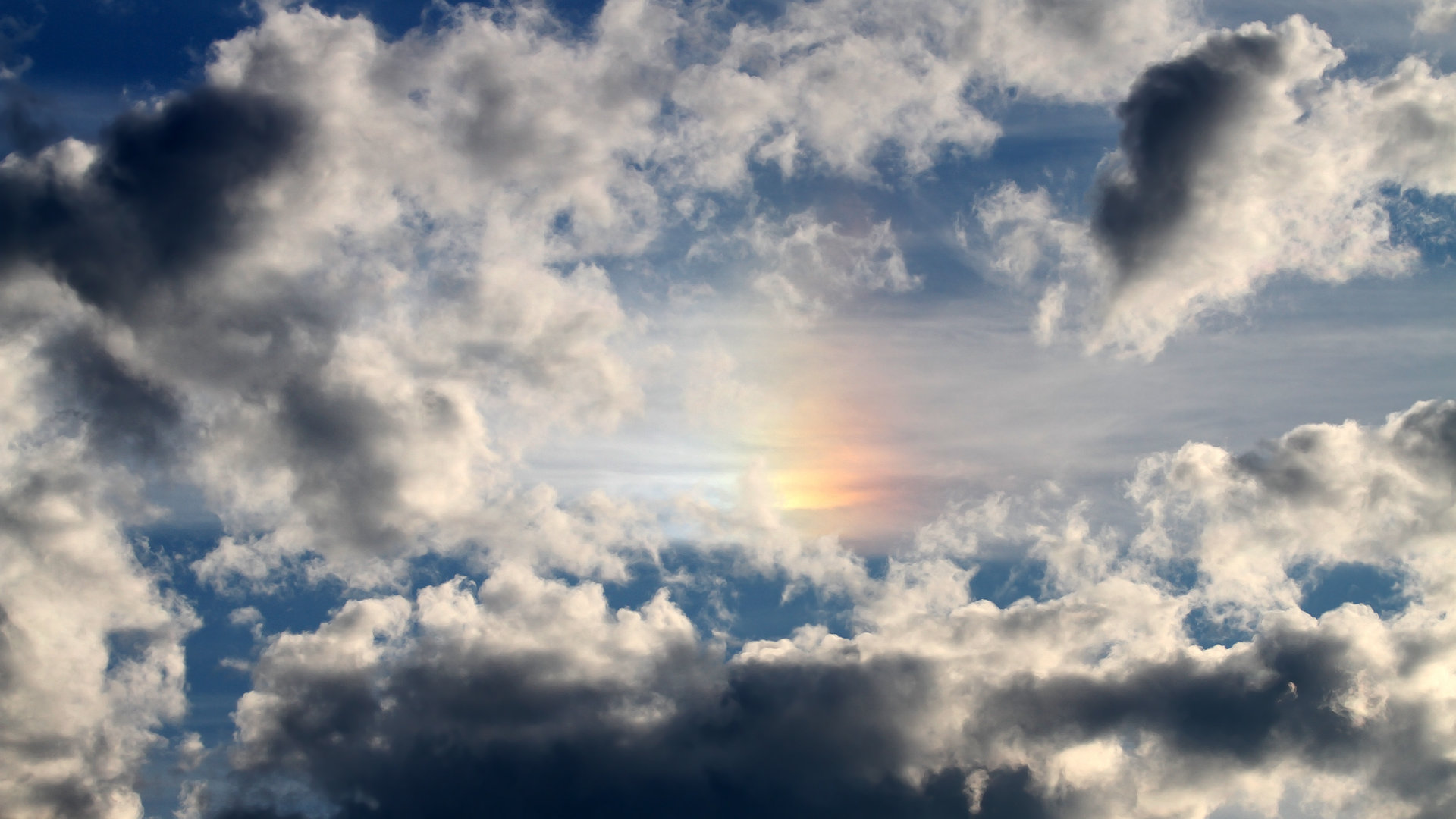 全国青少年铁人三项比赛在武汉成功举办，全国铁人三项冠军是谁