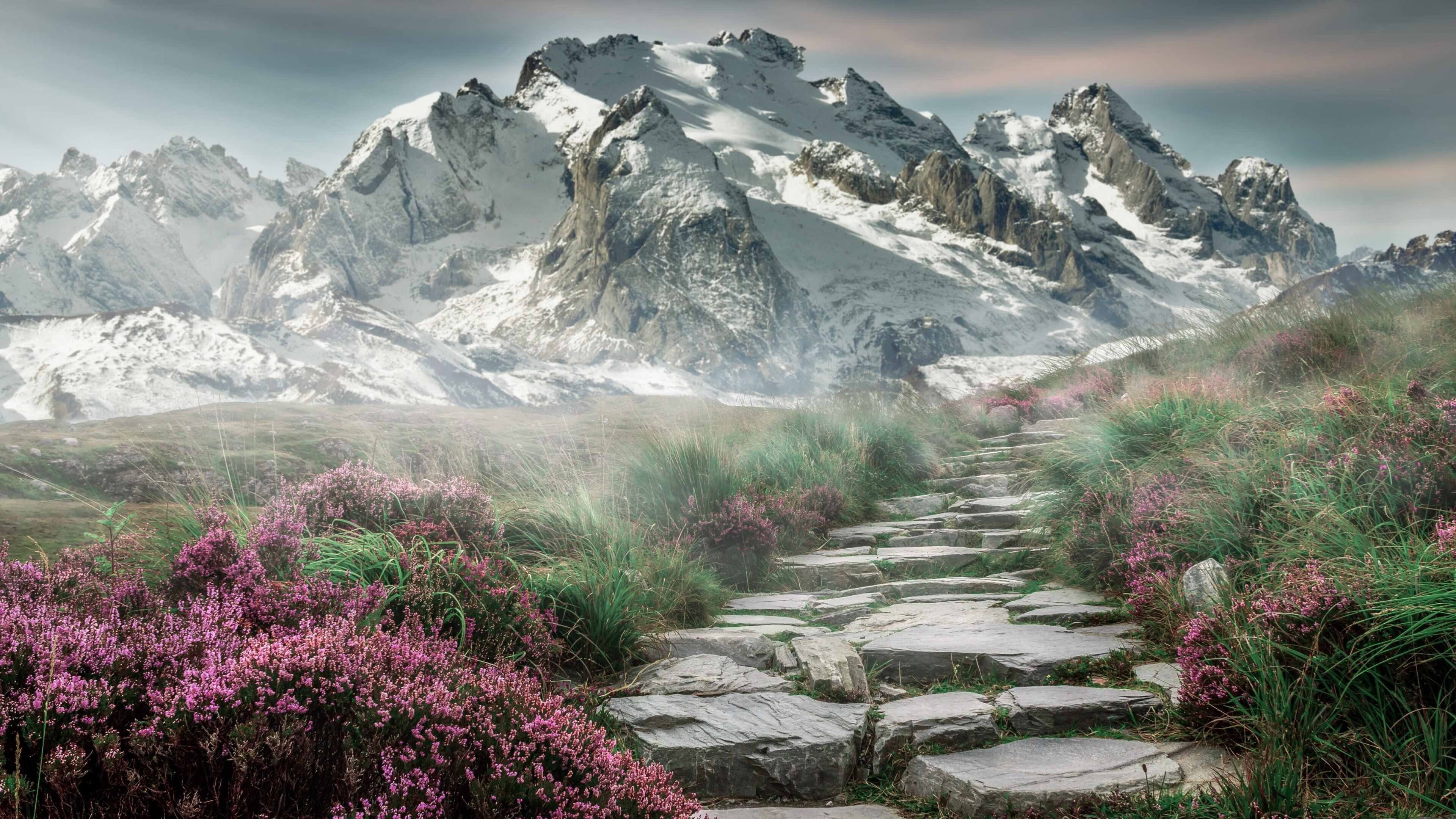 高校体育课程国际比较研究,高校体育教学策略与实践性研究