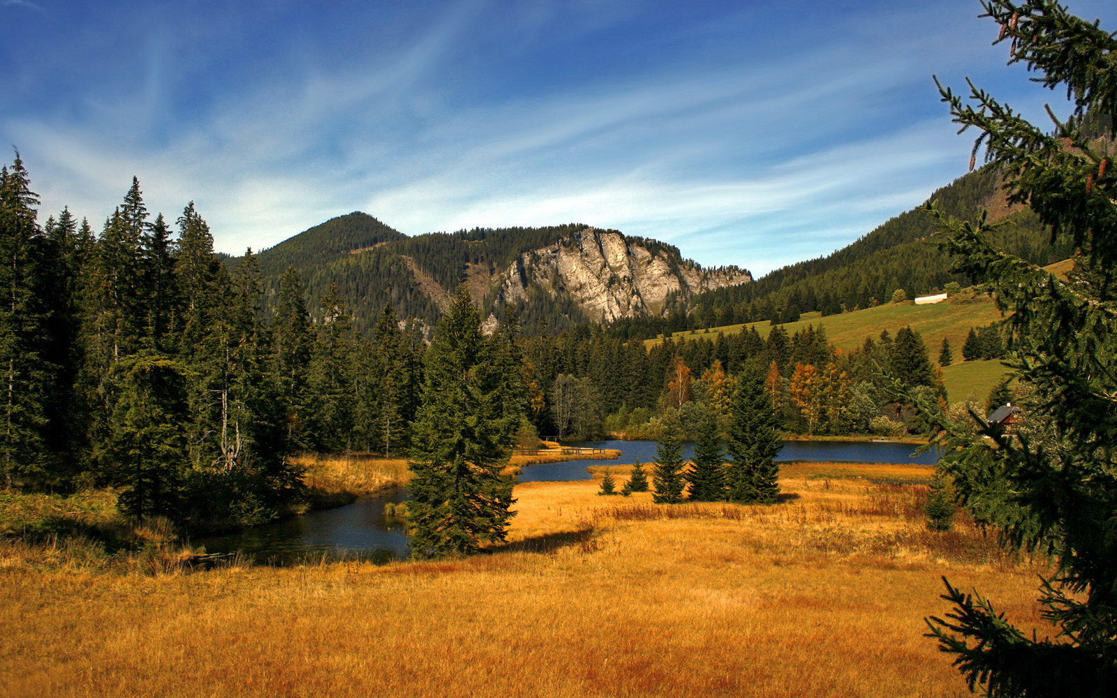 爱游戏入口-“简阳文体中心：羽毛球赛事中演绎速度与精准的完美结合”