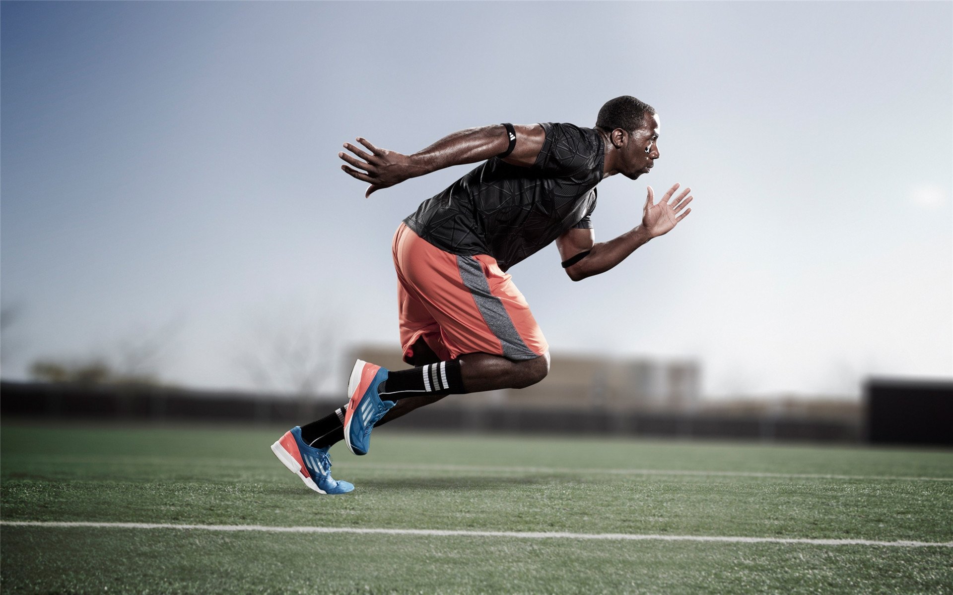 爱游戏平台-德甲火热，球迷支持持续增长，德甲俱乐部球迷数量排行