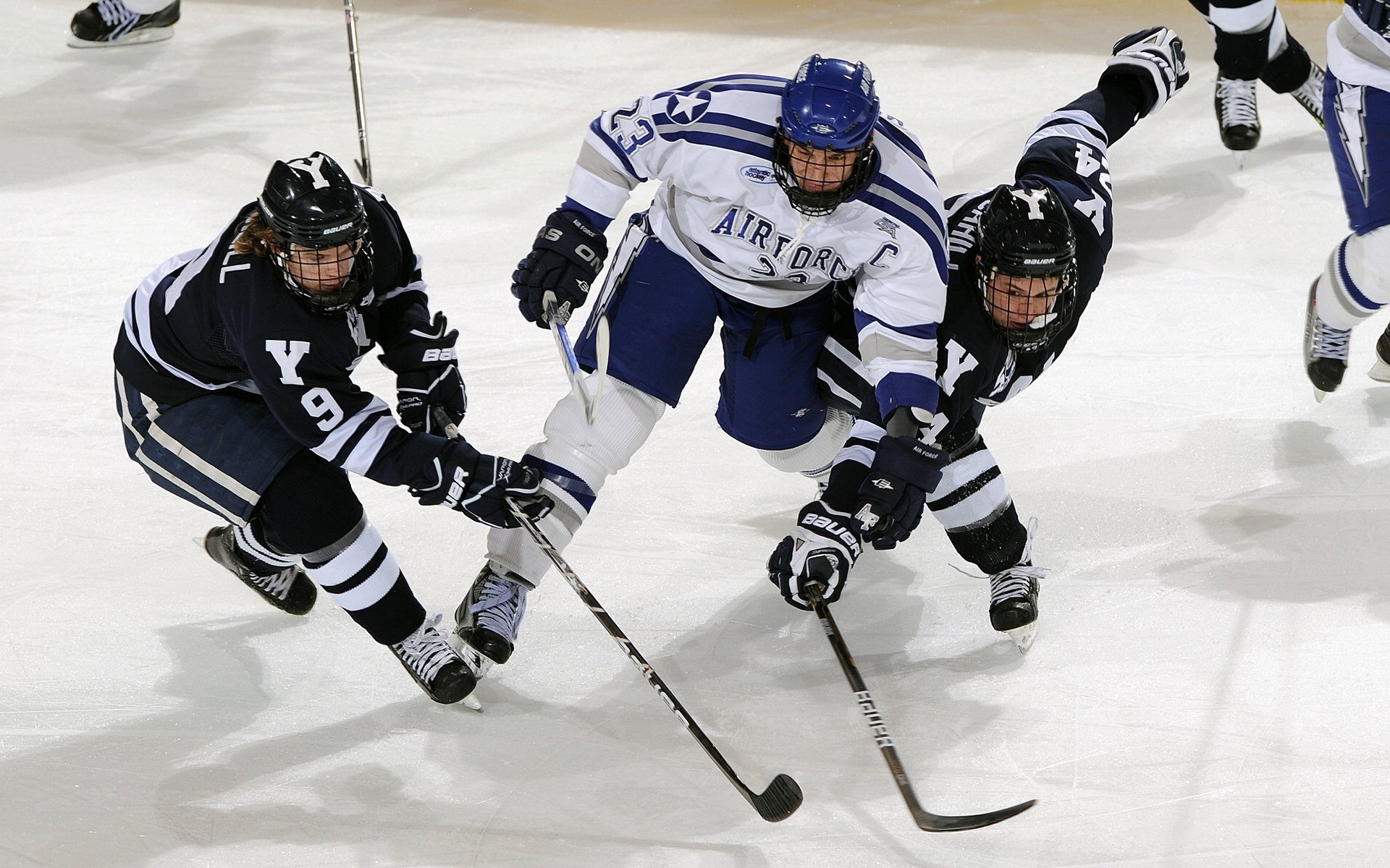 ayx sports-炉石传说 高校联赛吸引大量关注，炉石传说高校联赛大区赛